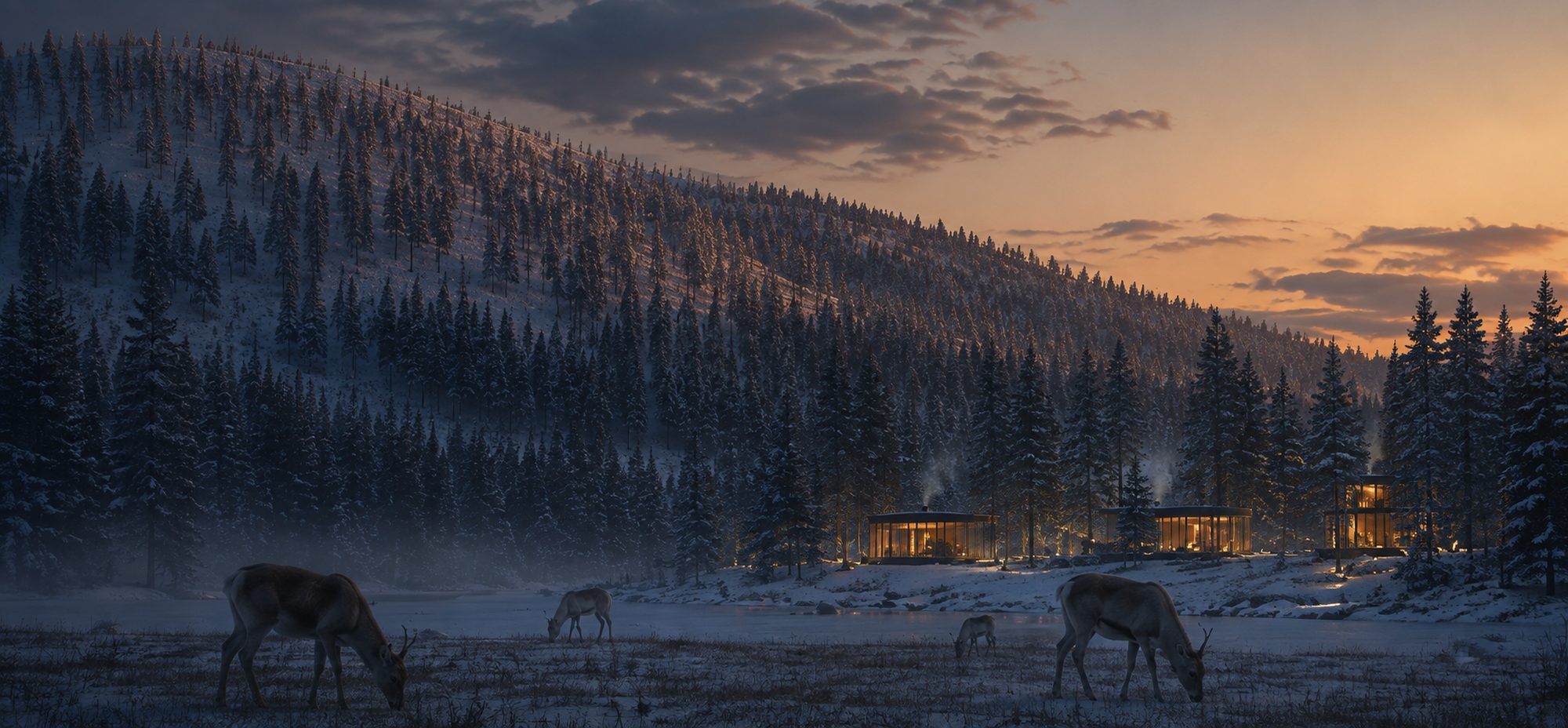 Forest and lake at first light